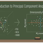 Introduction to Principal Component Analysis: Dimensionality Reduction Made Easy