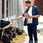 Semtech and itk Create Healthy and Productive Ranches with LoRa® Devices